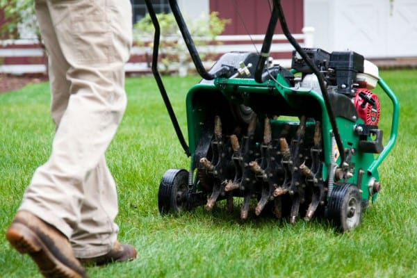 Weekly Maintenance by Contreras Lawn & Landscape