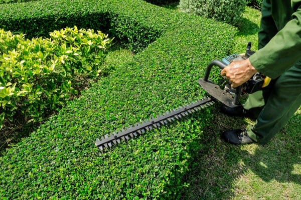 Weekly Maintenance by Contreras Lawn & Landscape