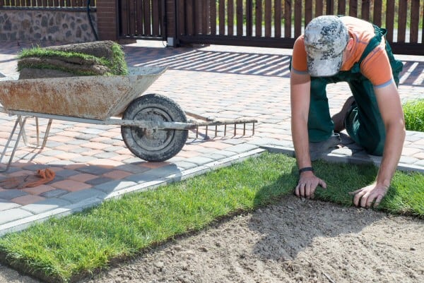 Weekly Maintenance by Contreras Lawn & Landscape